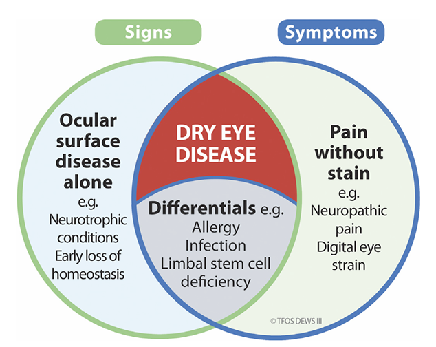 1763519923169200.png 11.19.2.png